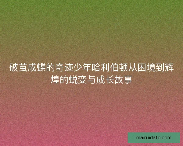 破茧成蝶的奇迹少年哈利伯顿从困境到辉煌的蜕变与成长故事
